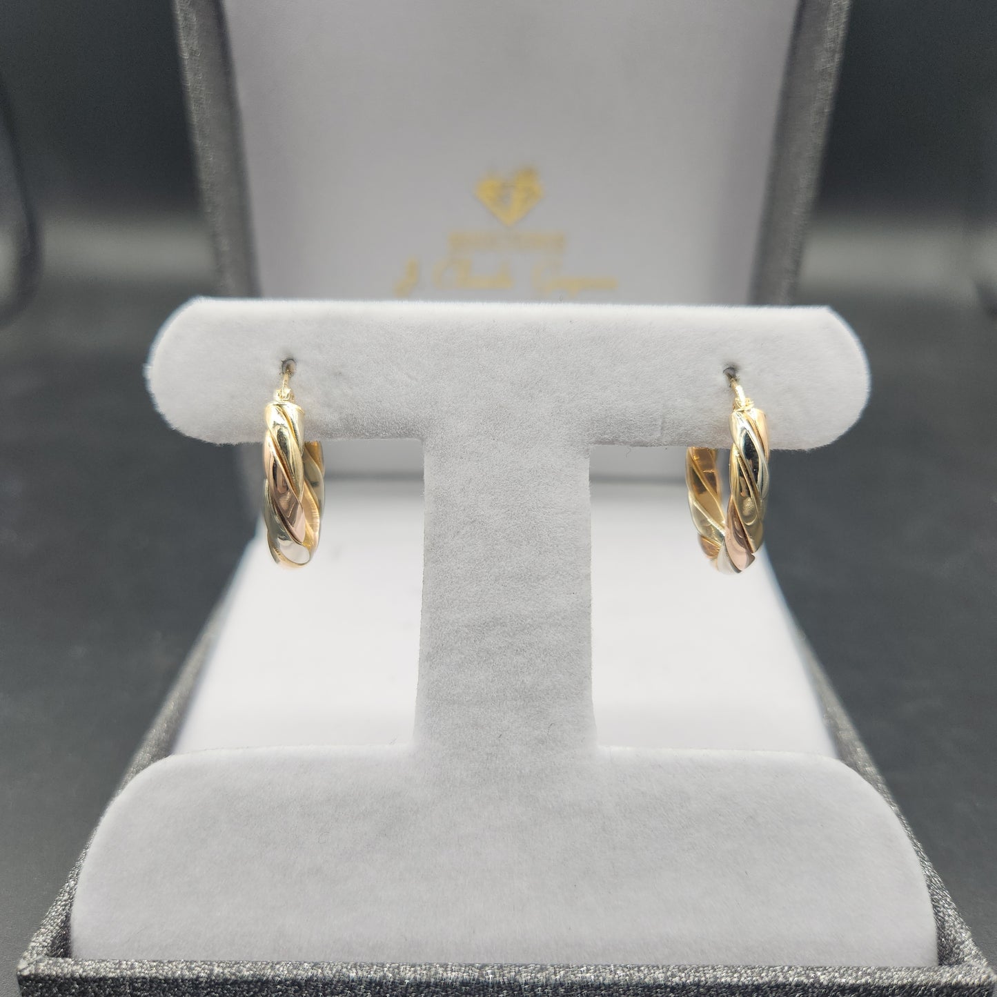 Boucles d'oreilles en or 10K
